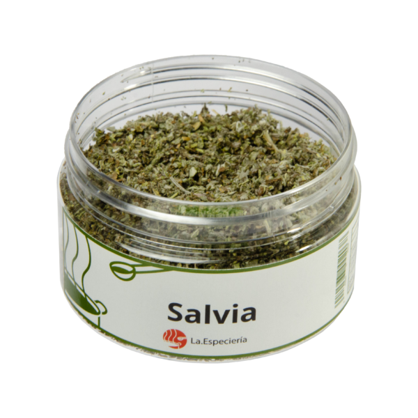 Salvia